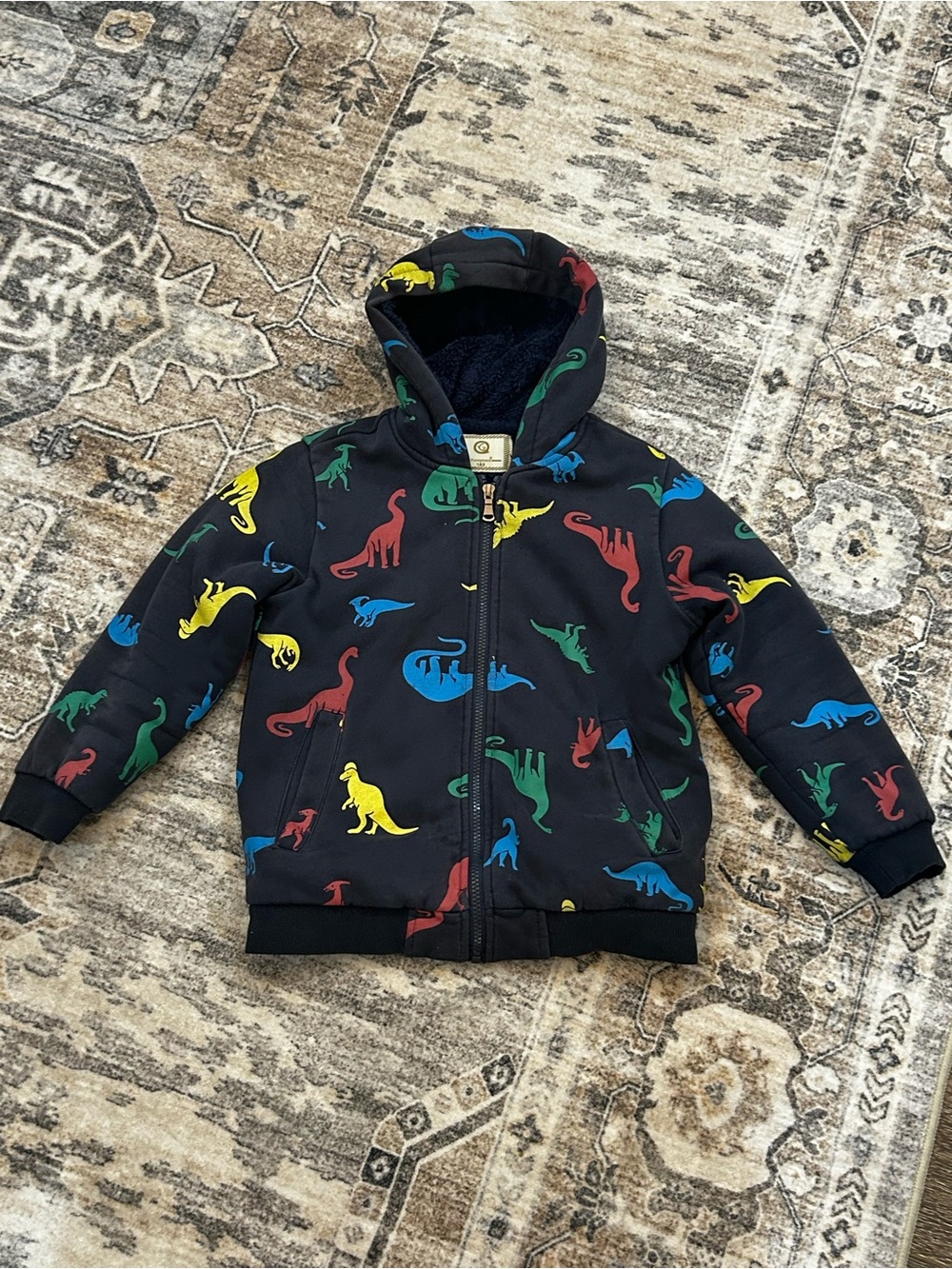 Kids Black Dino Print Hooded Zip Sweatshirt